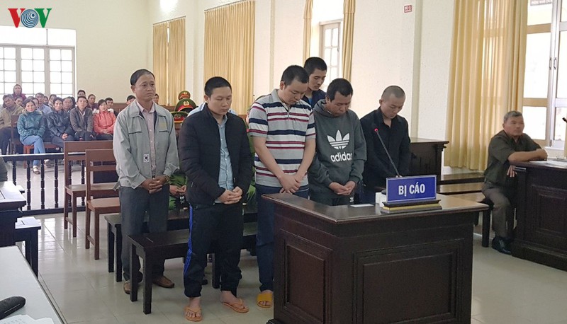 dau doc 10ha rung thong, hon 32 nam tu cho 7 bi cao hinh 2