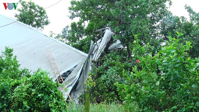 mua lon kem theo loc gay toc mai day nha tro hinh 1