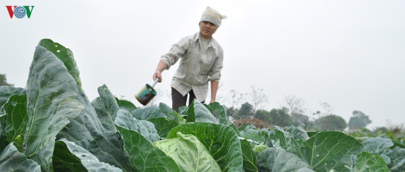 nong nghiep khang dinh vai tro "be do" cua nen kinh te hinh 1