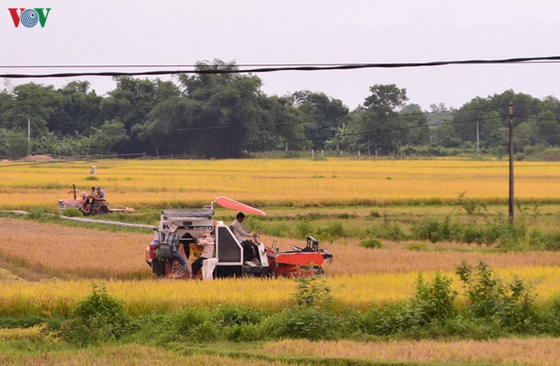 lam ro dau hieu canh tranh khong lanh manh trong viec gat lua thue hinh 2