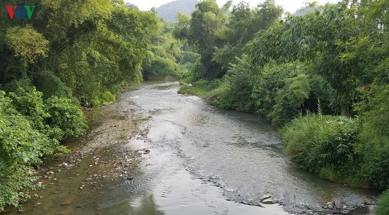 chua xac dinh duoc nguyen nhan khien song pho day co dau hieu o nhiem hinh 1