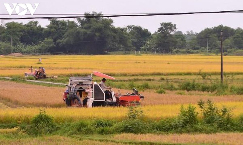 doanh nghiep bi anh huong cua covid-19 duoc giam 15% tien thue dat hinh 1
