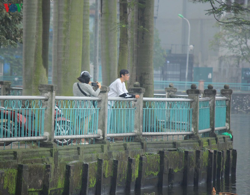 valentine mua dich covid-19, cac dia diem vui choi o ha noi vang nguoi  hinh 9