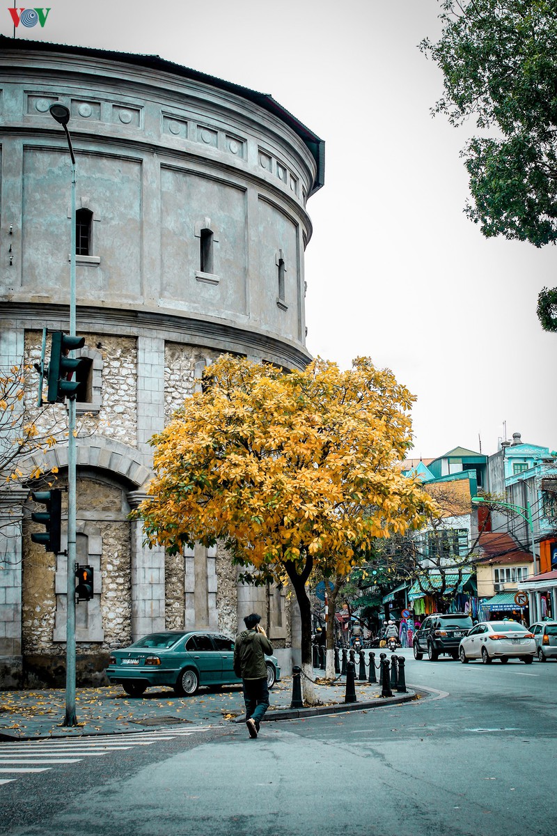 ngam ha noi dep lang man vao mua cay thay la hinh 11