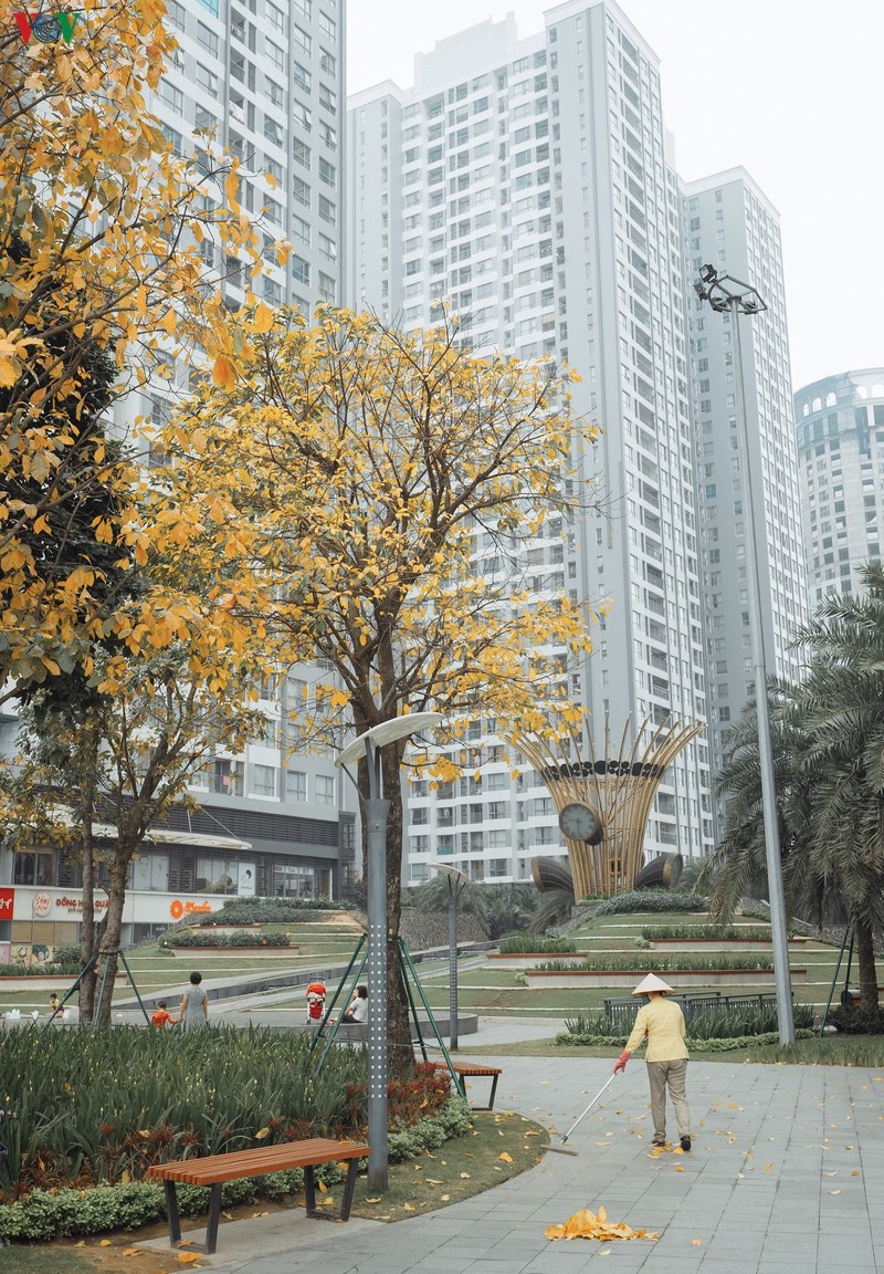 ngam ha noi dep lang man vao mua cay thay la hinh 8