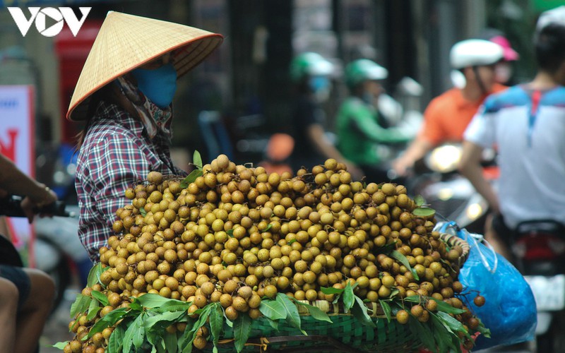 nhung "dac san" kho quen cua mua thu ha noi hinh 16
