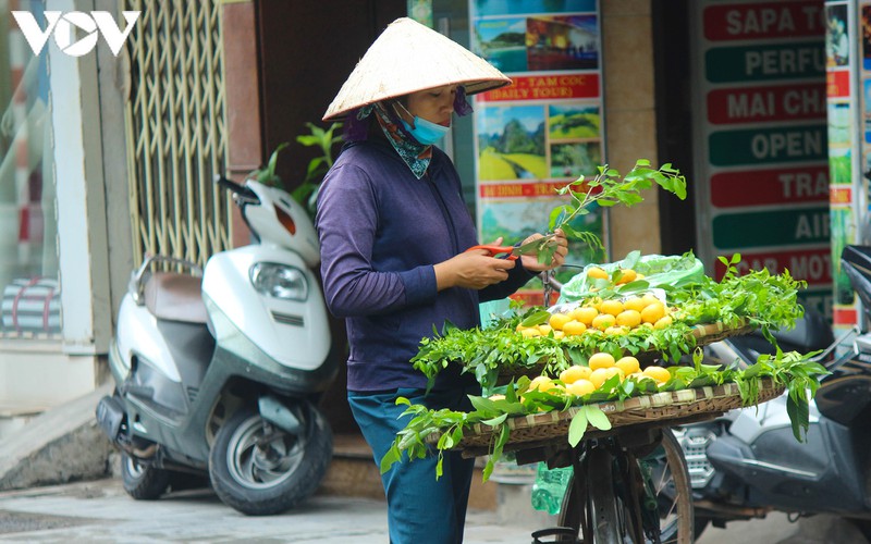 nhung "dac san" kho quen cua mua thu ha noi hinh 11