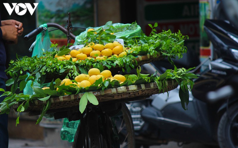 nhung "dac san" kho quen cua mua thu ha noi hinh 10