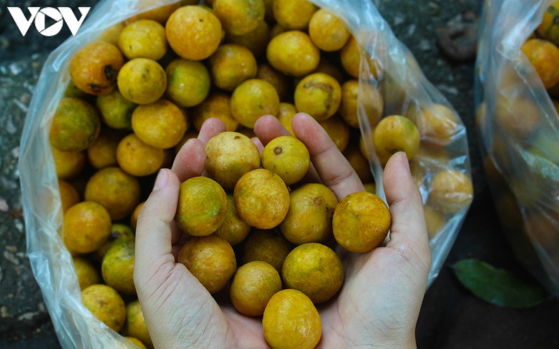 nhung "dac san" kho quen cua mua thu ha noi hinh 7