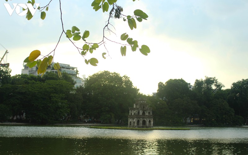 nhung "dac san" kho quen cua mua thu ha noi hinh 1