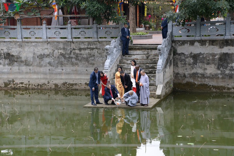 dai su my tham chua kim lien, tha ca chep tien ong cong ong tao ve troi hinh 11