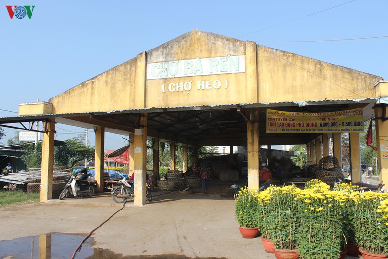 gia thit lon tai quang nam tang cao bat thuong ngay giap tet hinh 1