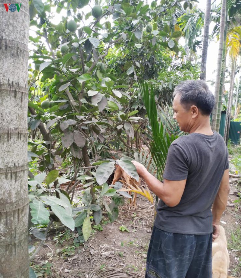 nguoi dan quang ninh buc xuc vi khoi bui cua nha may xi mang lam thach ii hinh 2