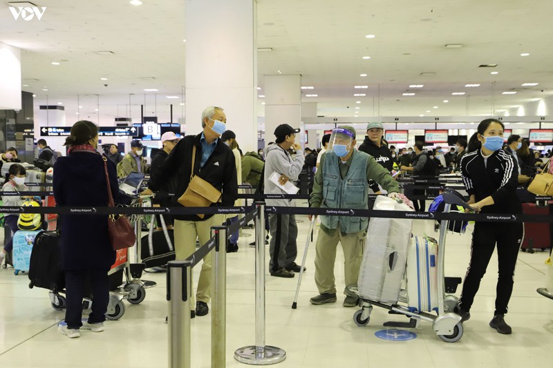 dua hon 340 cong dan viet nam tu australia ve nuoc an toan hinh 1