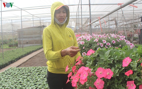xuan ve tren lang hoa xuan quan, nha vuon vui vi duoc mua duoc gia hinh 2