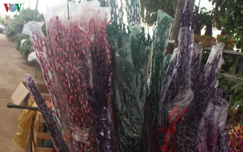 nhung loai hoa, cay canh "khuynh dao" thi truong tet canh ty 2020 hinh 15
