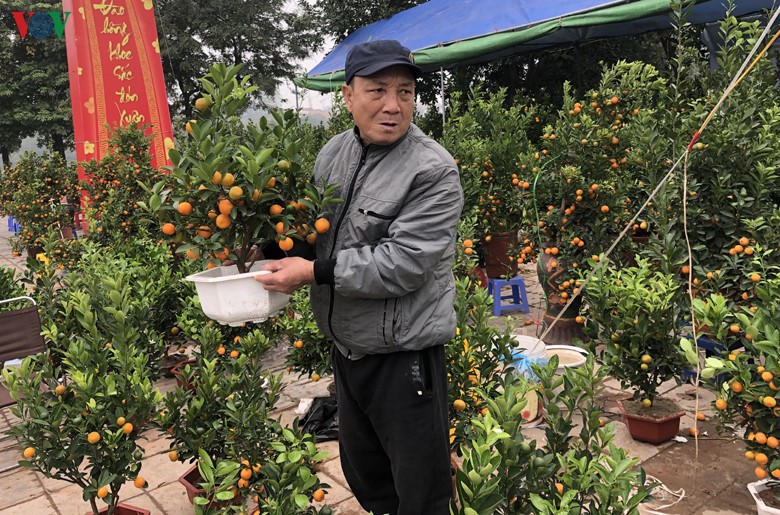 quat canh mini "chay hang" tai cho tet o ha noi hinh 2