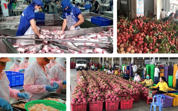 adb: 3 chien luoc mau chot de viet nam dat muc tieu tang truong hinh 1