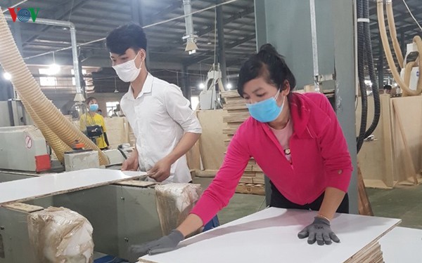80% don hang cua doanh nghiep che bien go bi huy, gian vi covid-19 hinh 1