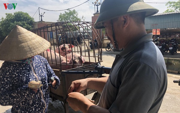 gia lon hoi giu o muc cao, thuong lai no nang hinh 2