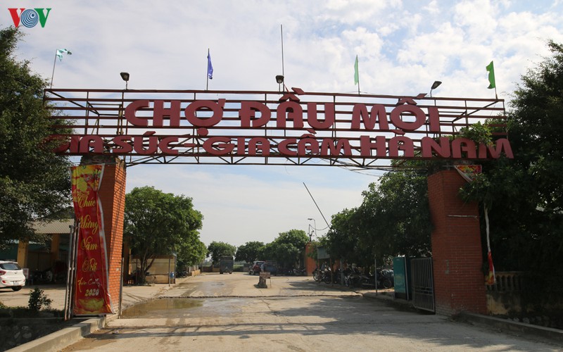 gia lon len cao, "de nhat cho lon" o ha nam diu hiu, e am hinh 1