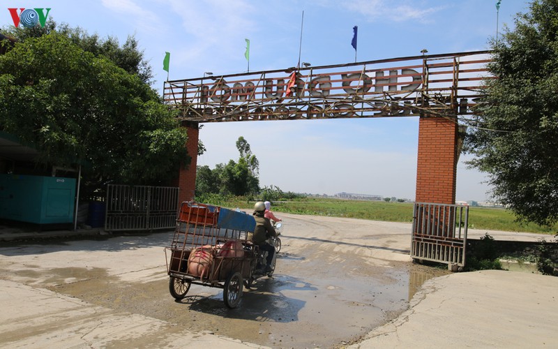gia lon len cao, "de nhat cho lon" o ha nam diu hiu, e am hinh 2