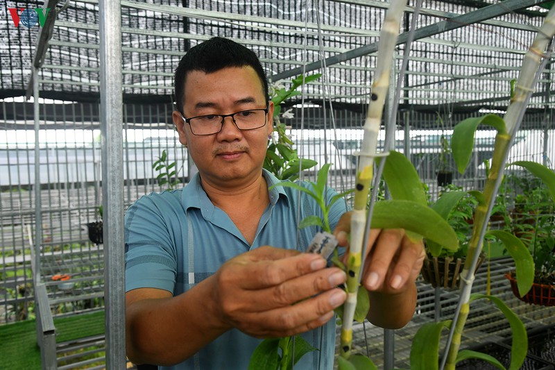 "nhung gio lan dot bien gia tien ti la binh thuong, that chu khong ao" hinh 5