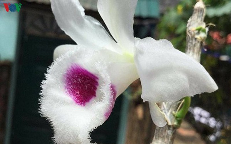 "nhung gio lan dot bien gia tien ti la binh thuong, that chu khong ao" hinh 1