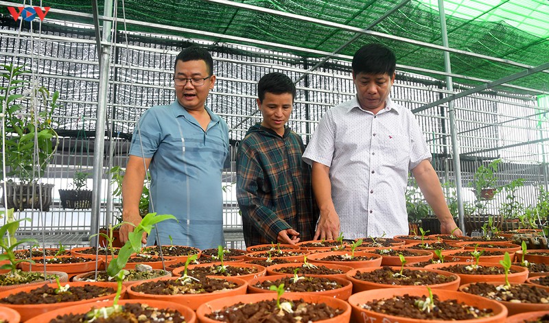 "dot nhap" vuon lan rung quy nhu kho bau cua "lao nong" o dong la  hinh 5