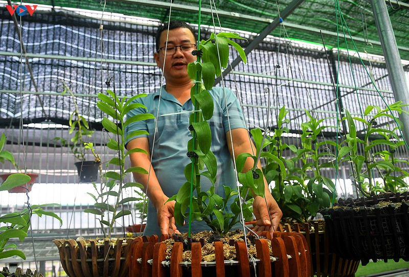 "dot nhap" vuon lan rung quy nhu kho bau cua "lao nong" o dong la  hinh 4