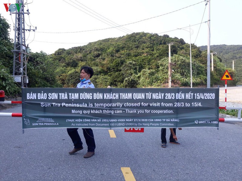 da nang tam dung don khach tham quan ban dao son tra, tam dung tam bien hinh 1