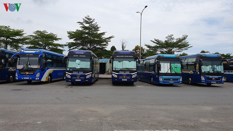 da nang cho phep van tai khach theo tuyen co dinh hoat dong lai hinh 1
