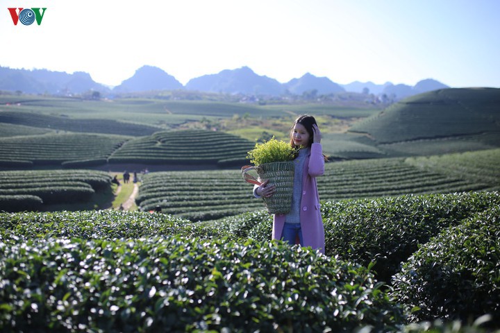 chuyen mot thay giao bo pho len rung  ​ hinh 1