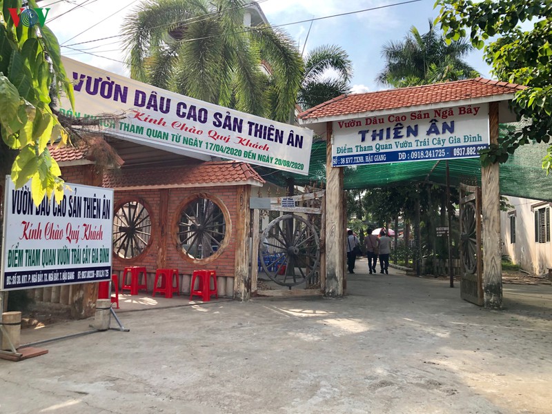 ve mien tay giua mua dau chin hinh 3