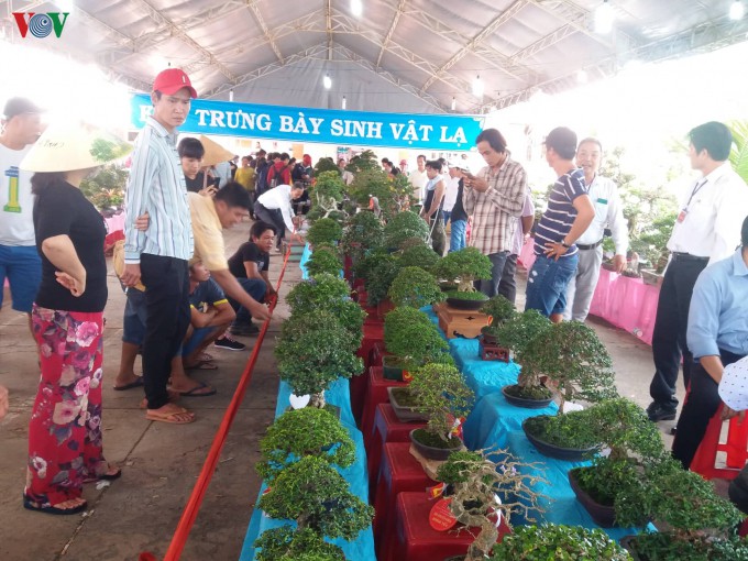ben tre dung to chuc le hoi truyen thong cay trai ngon- an toan 2020 hinh 2