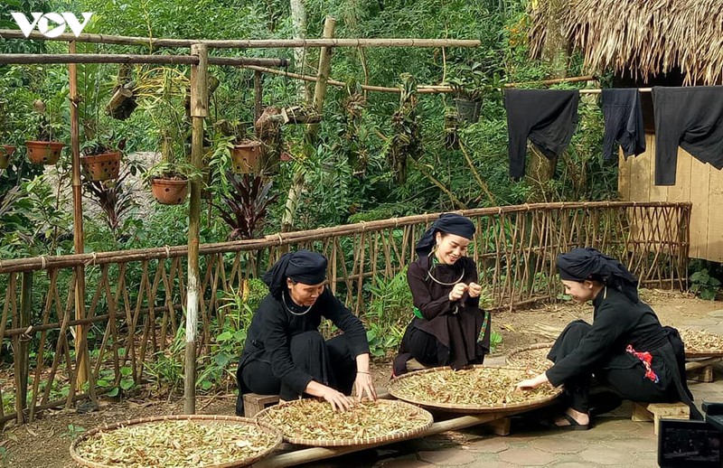 tham ban tay trong thanh pho hinh 2