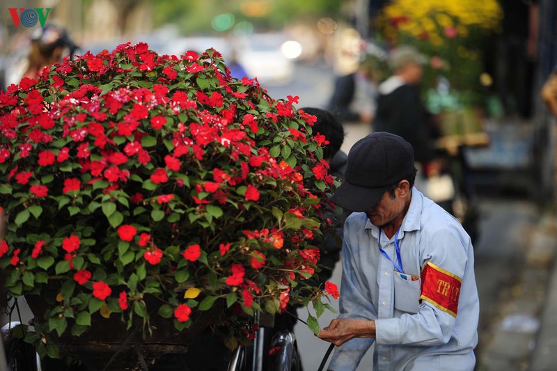 sac mau cho hoa xuan o hue hinh 11