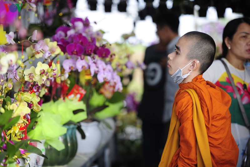 sac mau cho hoa xuan o hue hinh 12