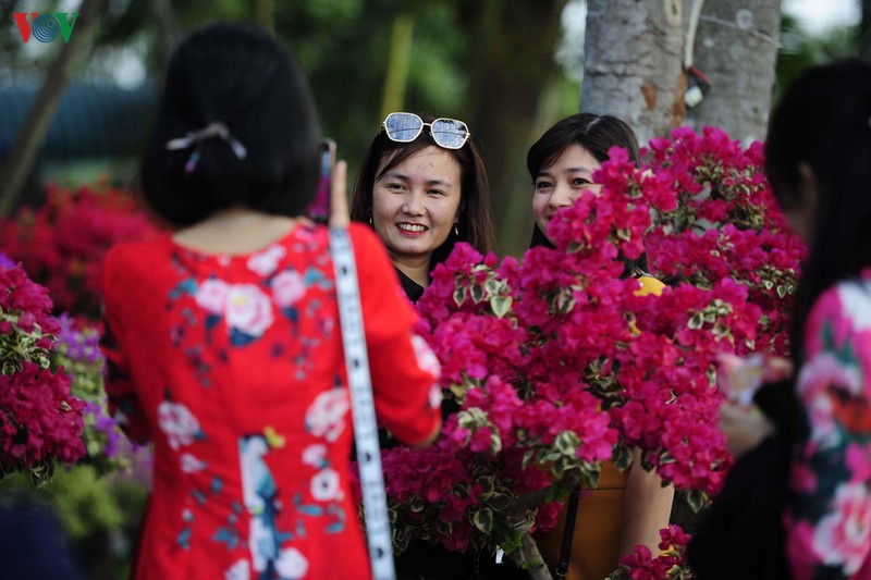 sac mau cho hoa xuan o hue hinh 13