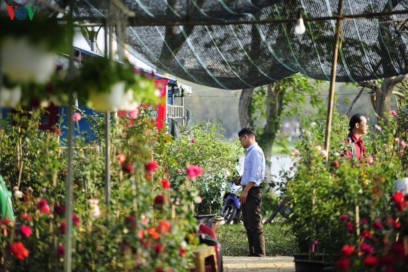 sac mau cho hoa xuan o hue hinh 1