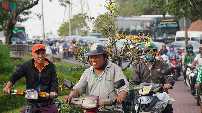 chum anh: duong pho tphcm ngot ngat vi khach nuom nuop ve que an tet hinh 6