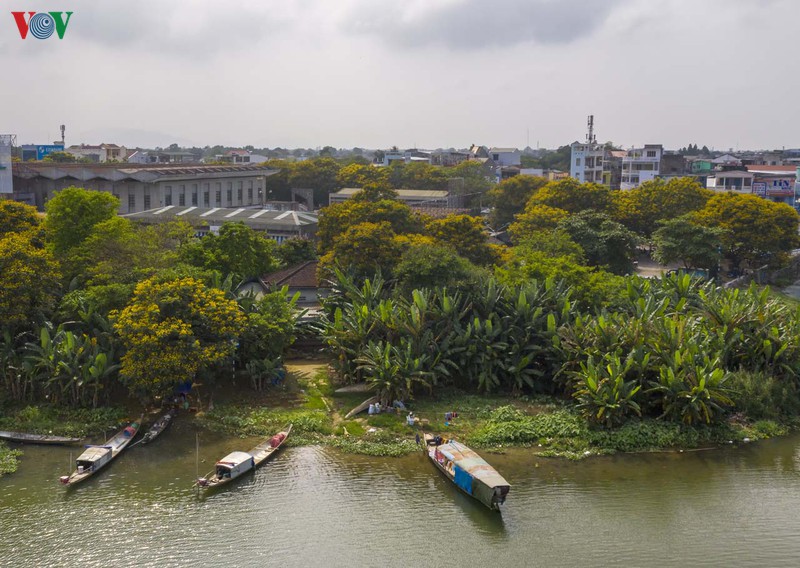 lang thang mua diep vang xu hue hinh 12
