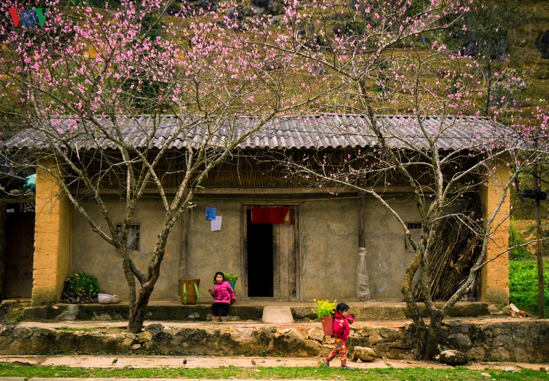 hanh trinh dac biet tren cao nguyen da ha giang hinh 4