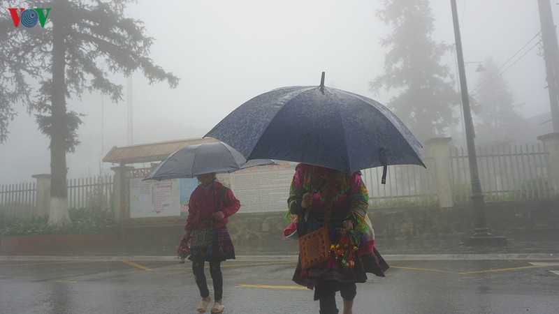 sa pa (lao cai) mua mu, thua vang khach du lich dip nghi le hinh 13