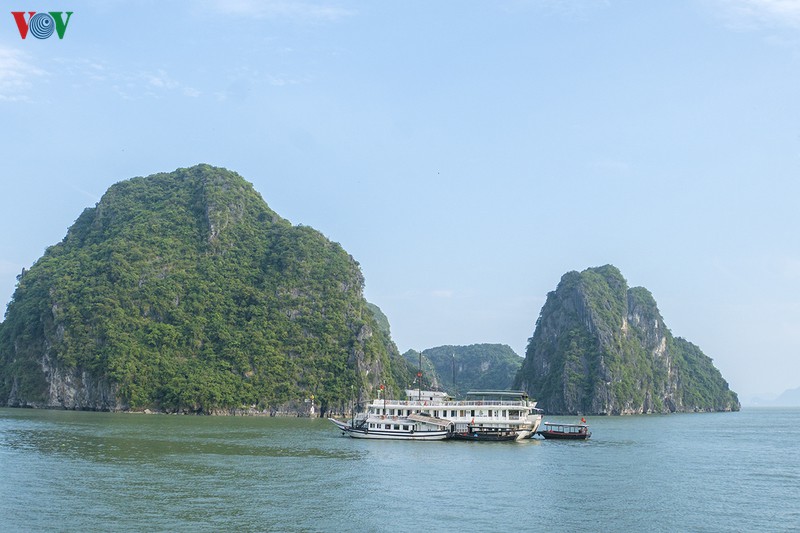 quang ninh cho phep tham quan vinh ha long tu 12h00 ngay 1/5 hinh 1