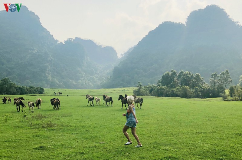 kham pha thao nguyen dong lam - noi giai nhiet ly tuong cho mua he hinh 1