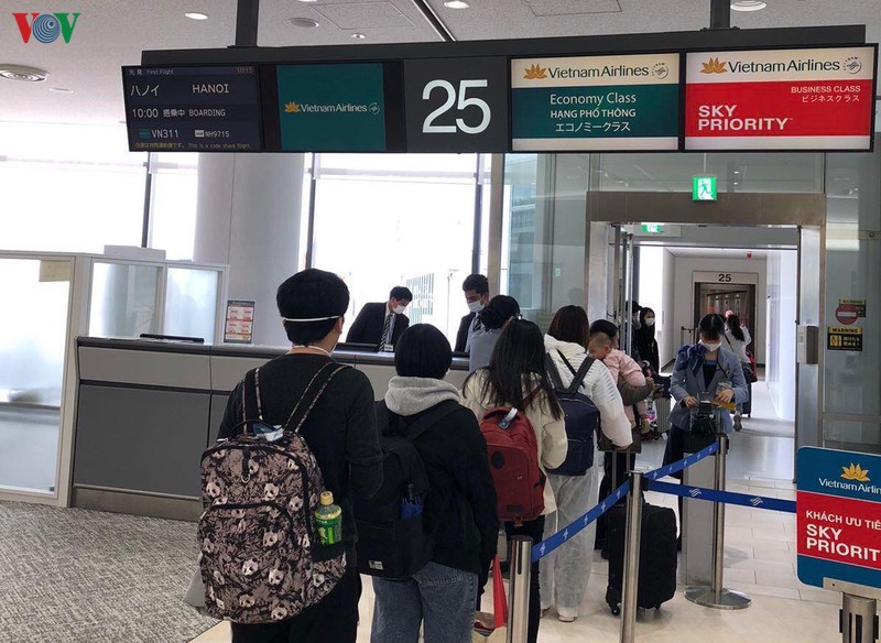se dua hon 300 cong dan viet nam tu nhat ban ve nuoc hinh 1
