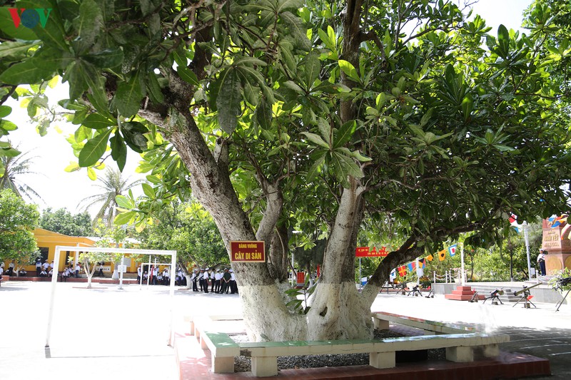 trao bang cong nhan 4 cay di san o quan dao truong sa hinh 2