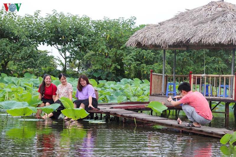 lac vao "khu vuon co tich" ruc ro sac hong tuong vi o ha noi hinh 13