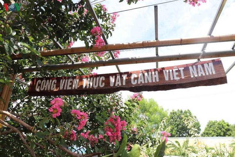 lac vao "khu vuon co tich" ruc ro sac hong tuong vi o ha noi hinh 1
